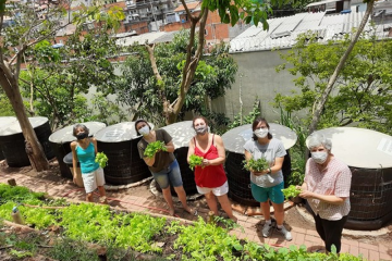 Condomínio transforma 8 toneladas de lixo em adubo mensalmente