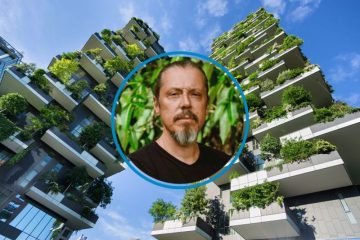 Os benefícios dos jardins verticais