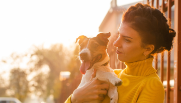 Curso Animais em Condomínios orienta síndicos e tutores sobre convivência com animais em condomínios