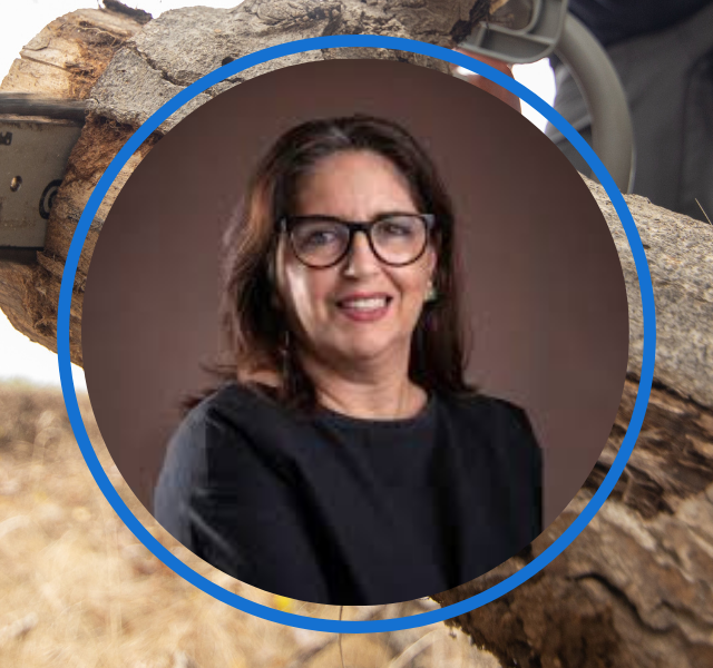 Lei sobre Poda de Árvores e os condomínios: solução necessária ou transferência de responsabilidades?