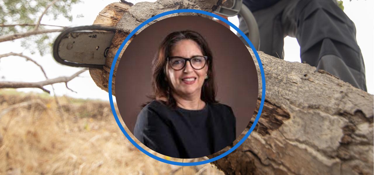 Lei sobre Poda de Árvores: solução ou transferência de responsabilidades?